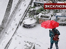 «Полярное вторжение»: эксперт рассказал, когда ожидать первый снег в России