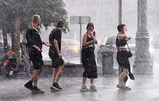 Ливни, град и штормовой ветер: Центральная Россия приходит в себя после удара стихии