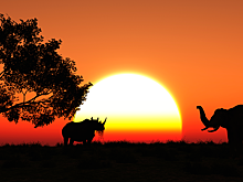 Что удерживает туристов от поездок на «черный континент»