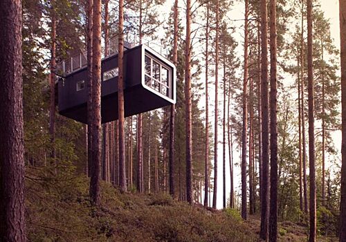 Единение с природой: где находится отель на дереве