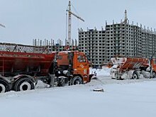 Депутат предложил чистить площадь Ленина от снега менее активно