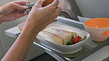 Эксперты узнали, сколько россиян не могут отказаться от питания в самолете
