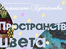 В Красногорске откроется выставка картин «Пространство цвета»