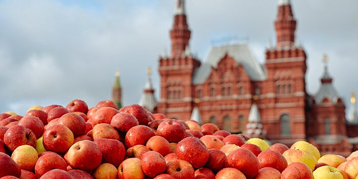Орловские яблоки, рязанский трюфель и «Тыквонад»: чем удивит гурманов «Золотая осень»