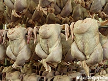 Птицефабрика "Рефтинская" получила два крупных иска перед продажей