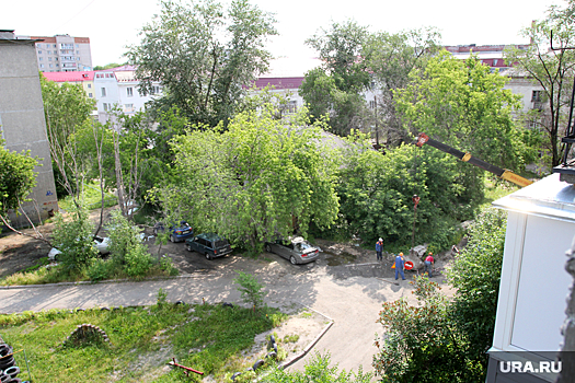 Мэрия Кургана объяснила появление техники на скандальной стройке