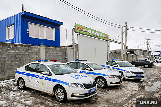 Владельцу незаконного рынка под Челябинском вынесли предупреждение