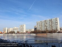 Для юных братеевцев организуют экологический квест