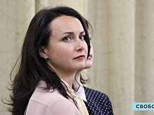 «Для учета в будущем». Ерохина заявила, что закон «О СМИ» не распространяется на Вячеслава Володина