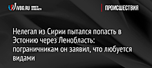 Нелегал из Сирии пытался попасть в Эстонию через Ленобласть: пограничникам он заявил, что любуется видами