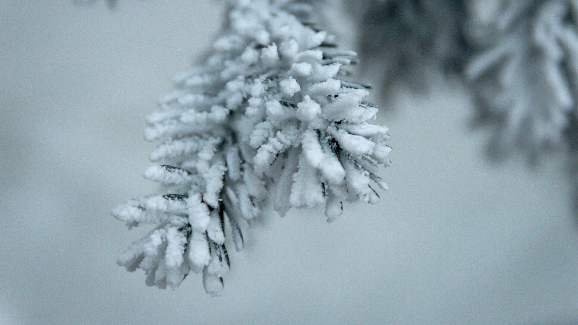  ������&nbsp; ���������� �������� ������� ���������� ������������������