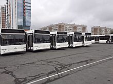 Новые автобусы в Ижевске получат фирменную окраску