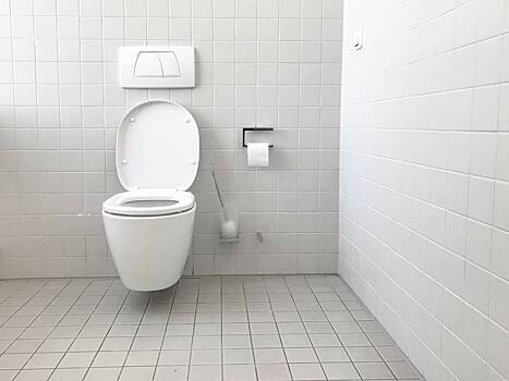 Названы три дешевых и эффективных средства от запаха в туалете