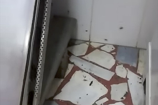 Оккупированную тараканами пекарню сняли в Волгограде