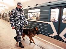 Кинологи со служебными собаками провели более 20 тыс. плановых проверок столичных станций метро в 2016 г. (интервью)