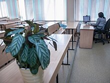 Школьники Новосибирской области будут поэтапно выходить из карантина