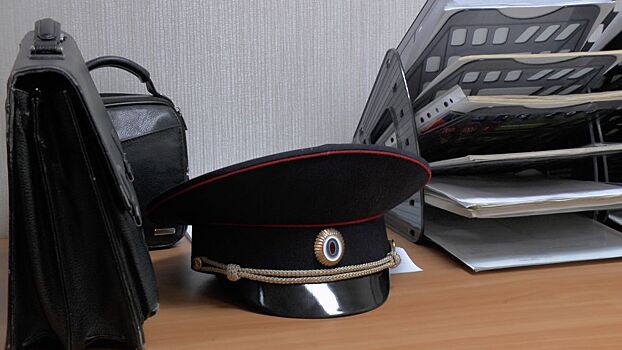 Прокуратура отменила решение полиции об отказе в возбуждении дела о незаконной вырубке в Завьяловском районе