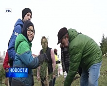 В Уфе появилась Солнечная аллея от детей с ограниченными возможностями здоровья