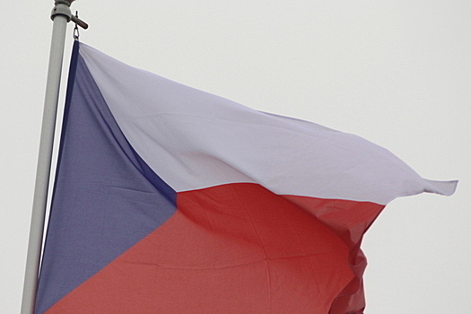 В Чехии может возникнуть правительственный кризис из-за публикаций в соцсетях