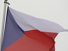 В Чехии может возникнуть правительственный кризис из-за публикаций в соцсетях