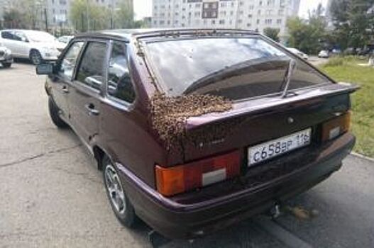 В Татарстане рой пчел облепил легковой автомобиль