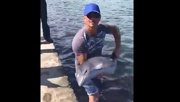Рыбаки поймали дельфиненка в Новороссийске. Видео