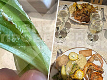 Российская пара отравилась в египетском отеле из-за антисанитарии в столовой