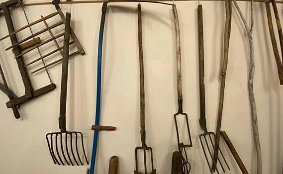 Курских садоводов и дачников проконсультируют эксперты Росреестра