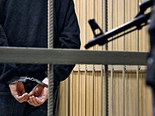 Маньяк получил пожизненный срок за убийство и расчленение 10-летнего мальчика