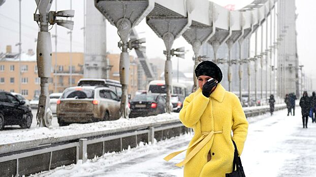 Еще 8 мм осадков может выпасть в Москве до конца недели