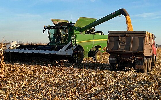 Урожай зерна в Рязанской области превзошёл прогнозы и рекорды