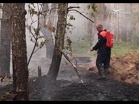 В Самарской области с начала года произошло 59 лесных пожаров