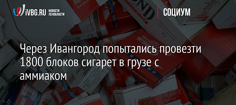 Через Ивангород попытались провезти 1800 блоков сигарет в грузе с аммиаком