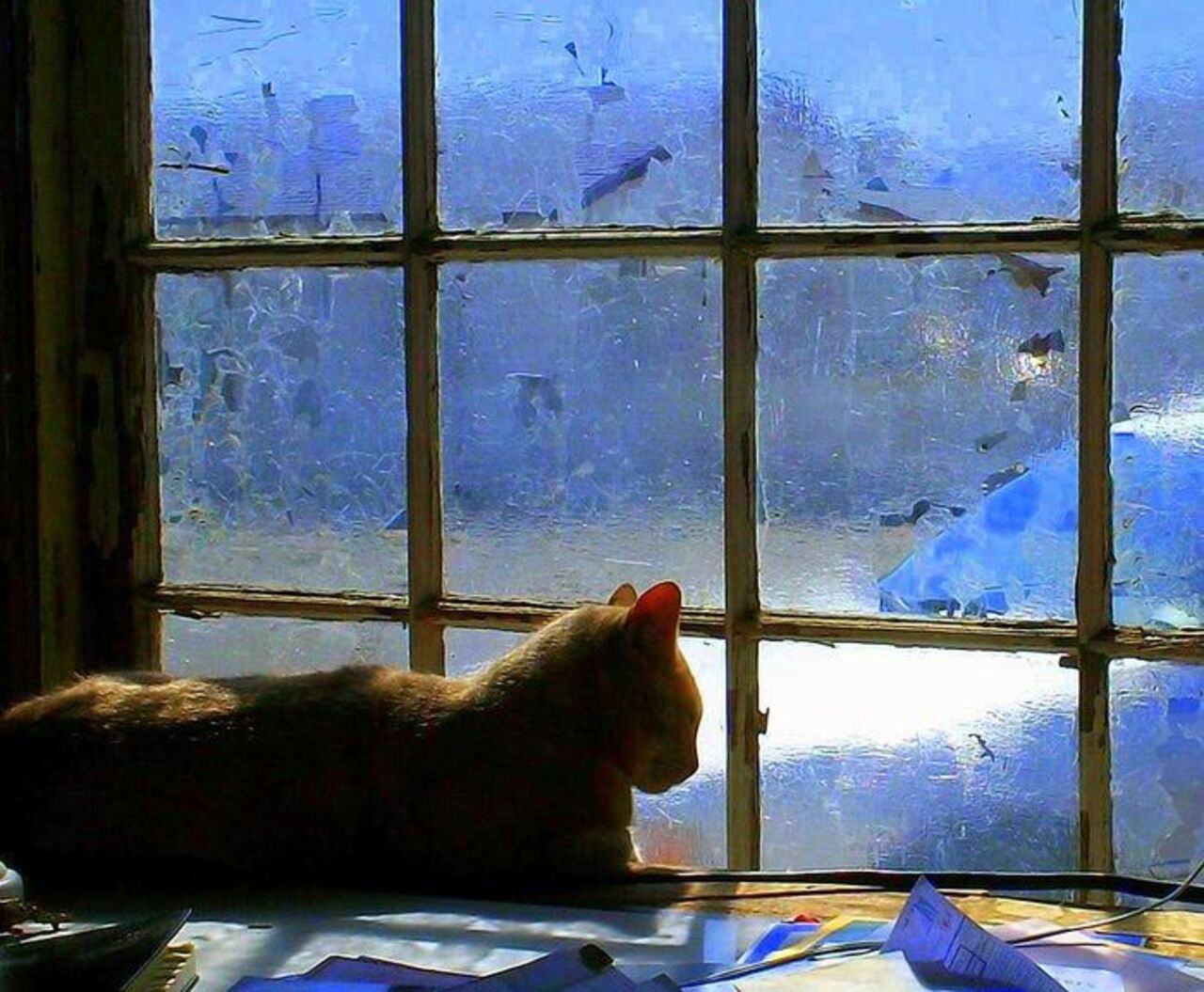 Зимнее окно вечером. Зимнее окно. Кот на окне. Кот на окне зима. Пейзаж в окне.