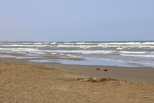 «Нам это не интересно»: угрозы Лондона из-за исследовательского судна «Янтарь» рассмешили Москву