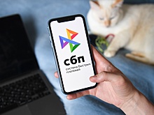 В НСПК раскрыли детали работы сервиса переводов по СБП без номера телефона