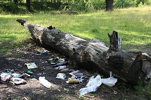 Нижегородцы очистят от мусора Копосовскую дубраву