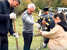 Глава КЧР Рашид Темрезов: В Карачаево-Черкесии высадят более 2 300 деревьев в рамках акции «Сохраним лес»