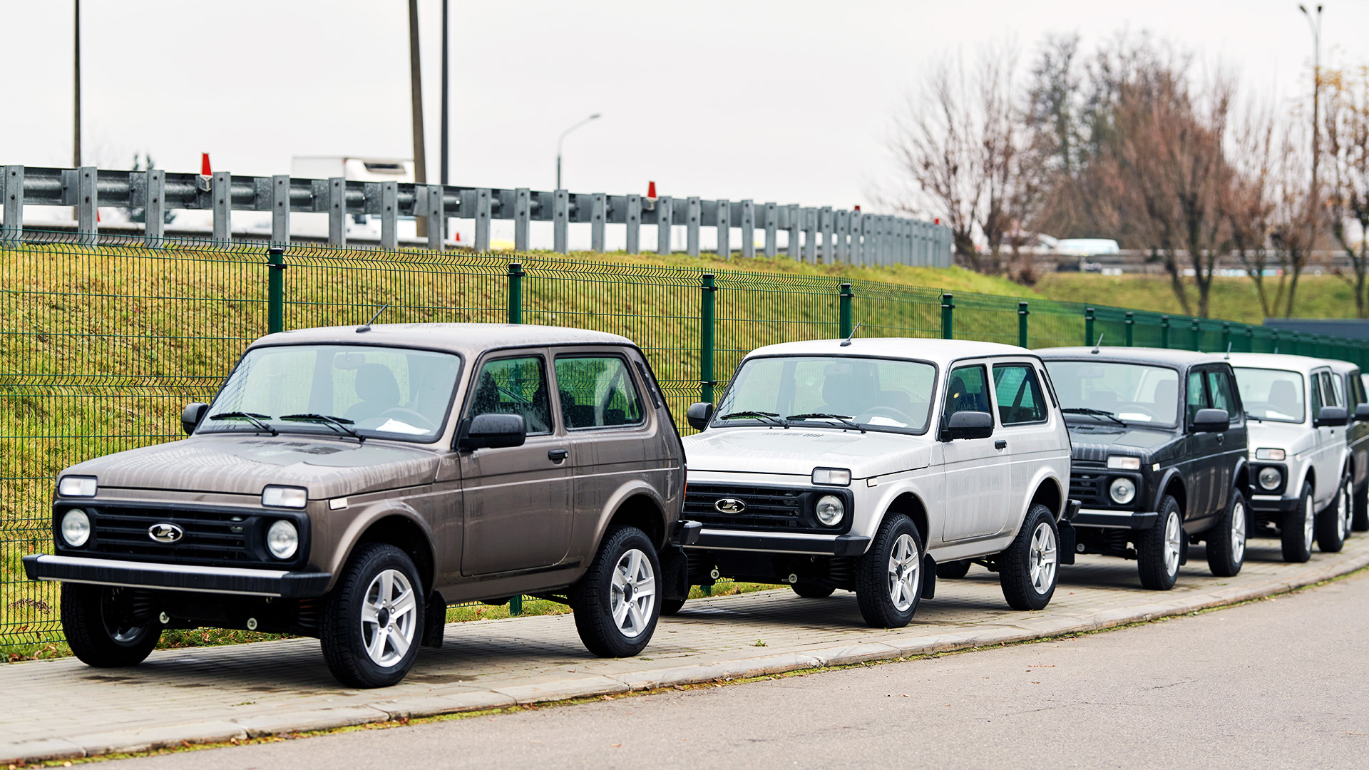 �������,&nbsp; �����������: ������ ����� ���������� ��������� ���������, ����������