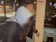 Мать найденного расчлененным в Москве ребенка призналась в его убийстве