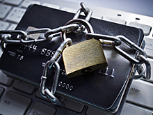 Власти КНР против экосистем