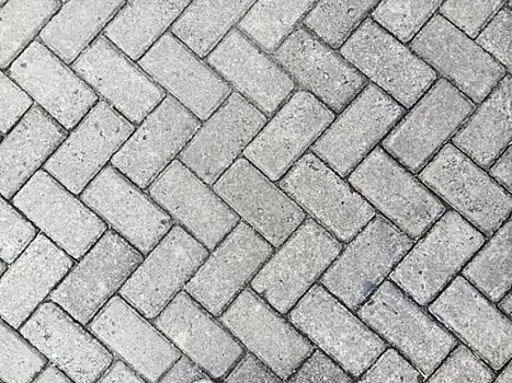 В Воронцовском парке началась замена покрытия из бетонной брусчатки