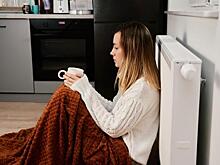 Томичи за неделю направили губернатору 300 жалоб на холод в квартирах