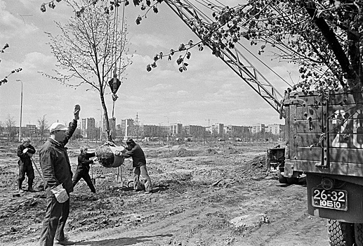 Зеленый пояс: Главархив — о первом московском проекте по озеленению города