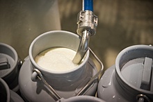 Производство молока выросло на 2% в Нижегородской области