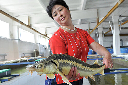 Россия на 10,8% снизила вылов рыбы