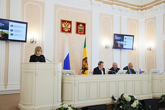 Пензенскому омбудсмену за год поступило 1167 обращений