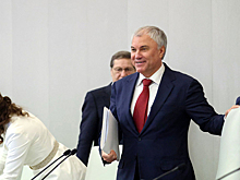 Страдания депутата Красноштанова: депутаты не без приключений приняли бюджет в третьем чтении