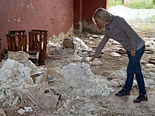 Ядовитые химикаты бывшего ГОКа в Магаданской области утилизируют этим летом