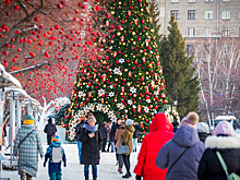 В Новосибирске похолодает на 20 градусов в последние выходные 2025 года